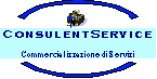 CONSULENT SERVICE